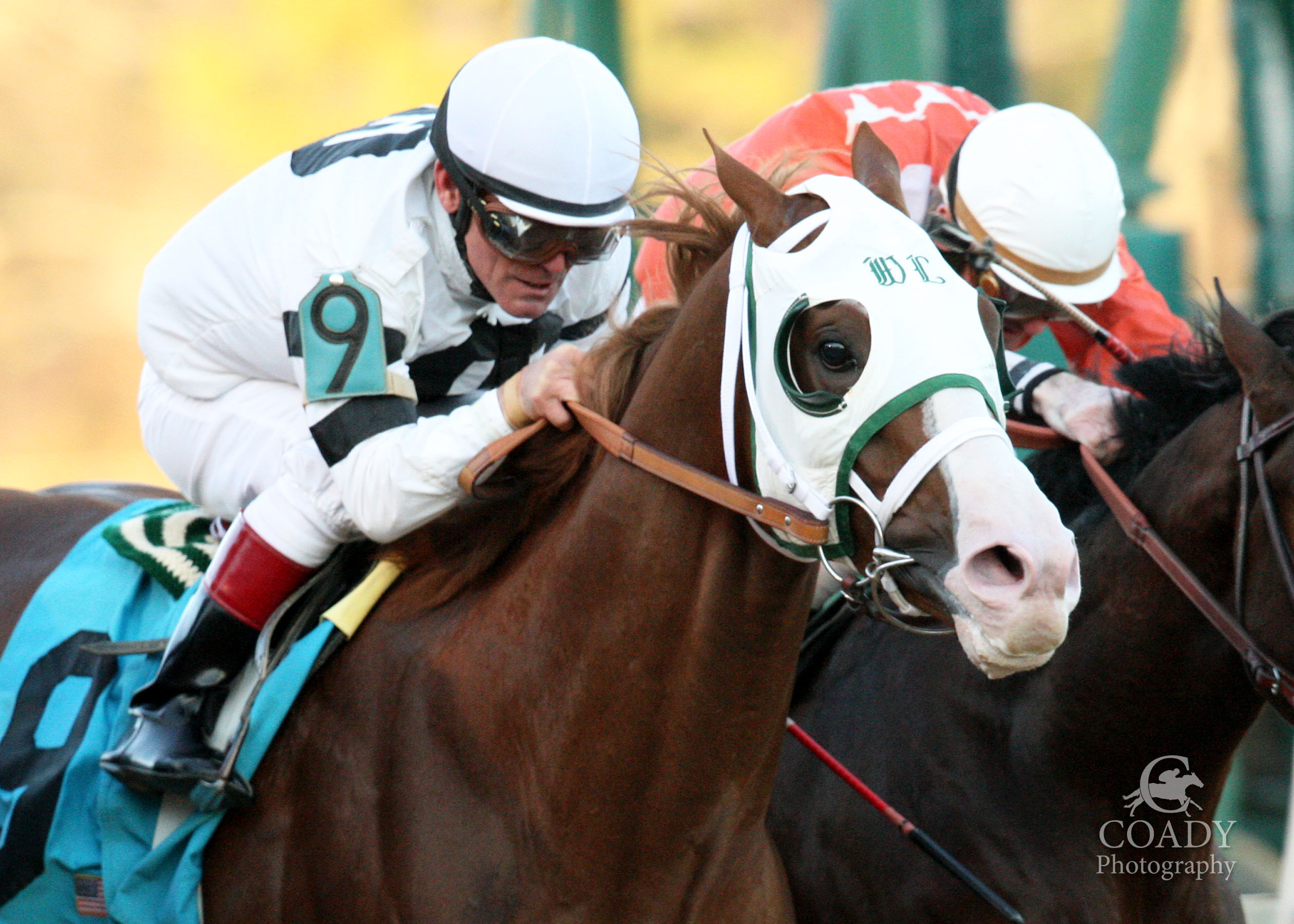 Will Take Charge/Smarty Jones