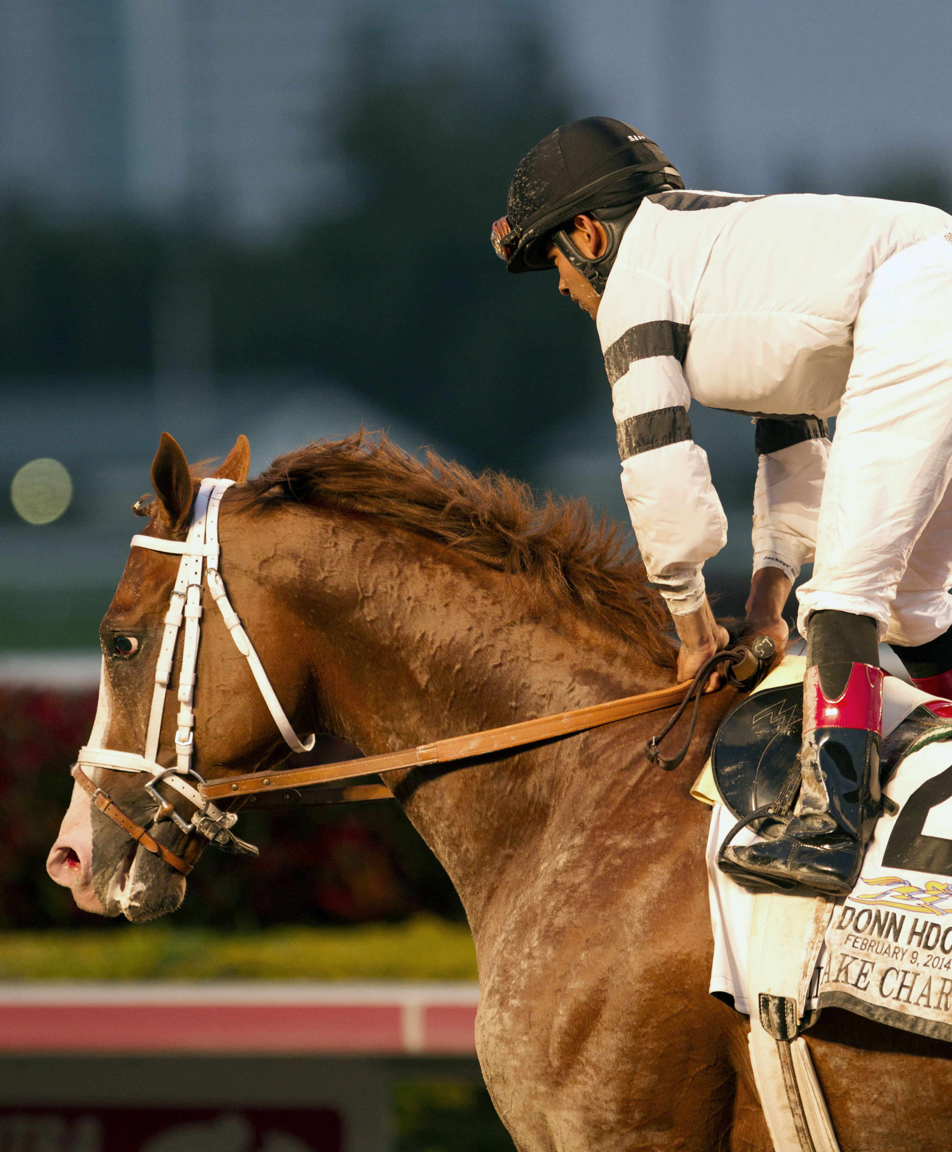 Will Take Charge finishes second in the Donn
