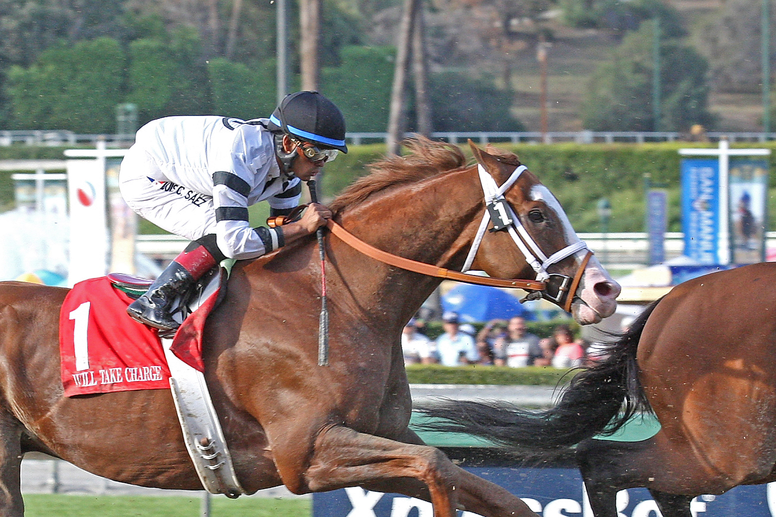 Will Take Charge finishes second in the Santa Anita Handicap
