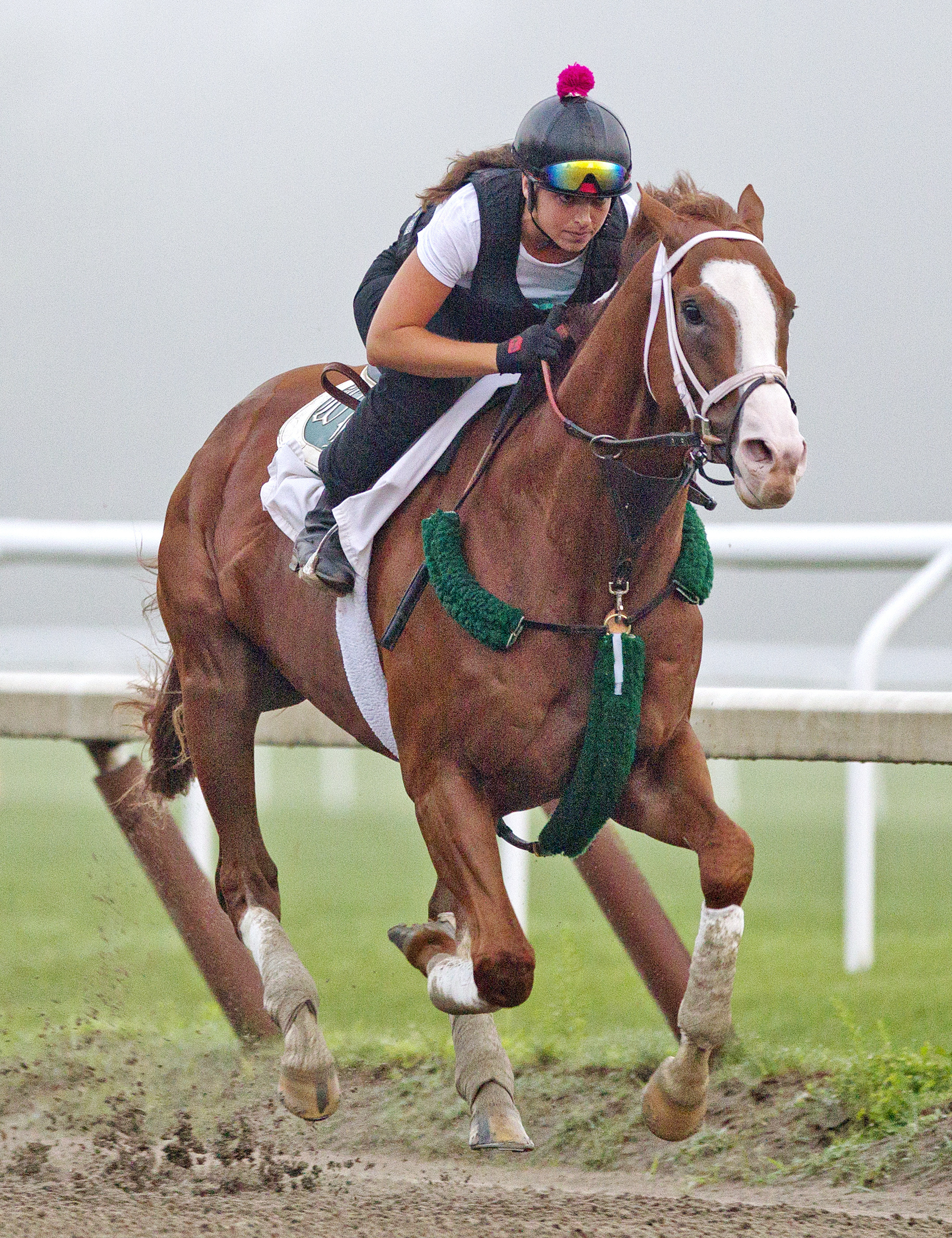 Will Take Charge trains at Saratoga July 14