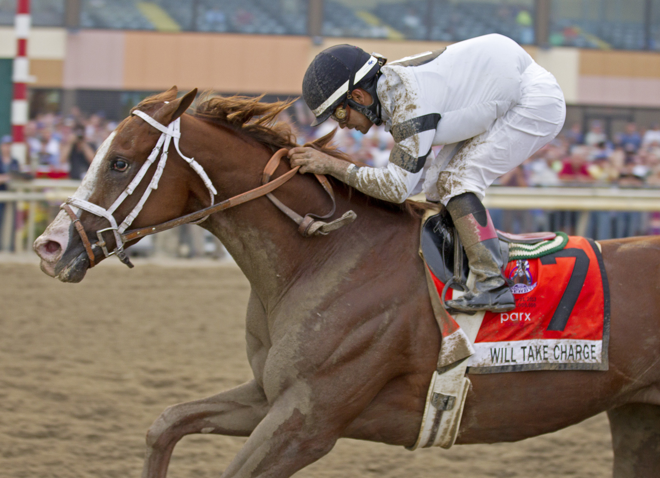 Will Take Charge, Pennsylvania Derby