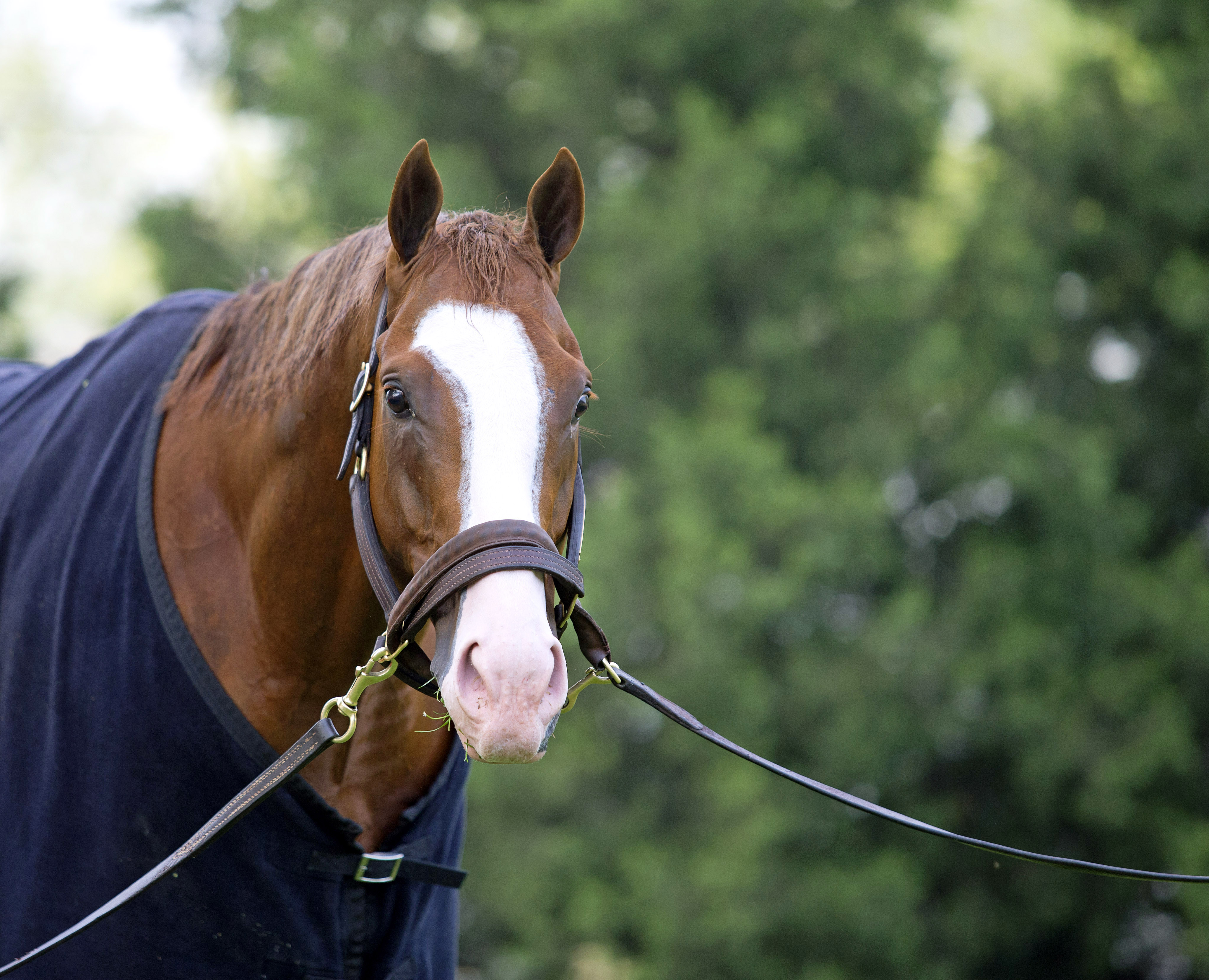 Will Take Charge