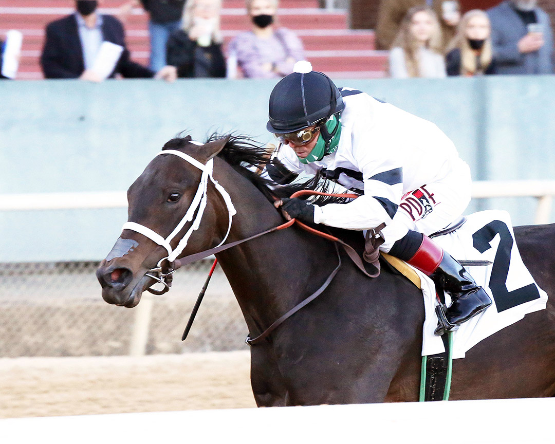 Will's Secret wins the 2021 Honeybee Stakes at Oaklawn