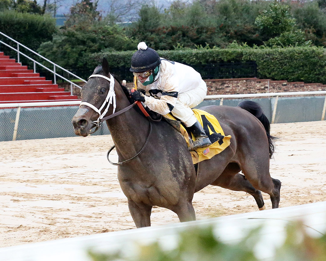 Will's Secret wins the Martha Washington Stakes at Oaklawn Park