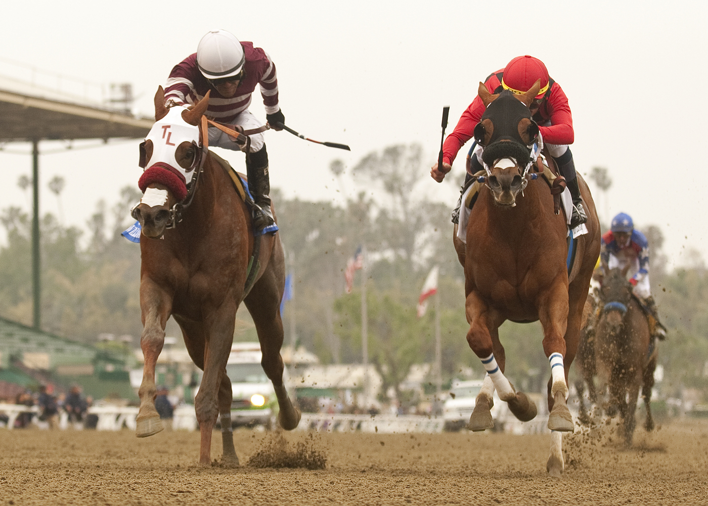 Willa B Awesome/Santa Anita Oaks