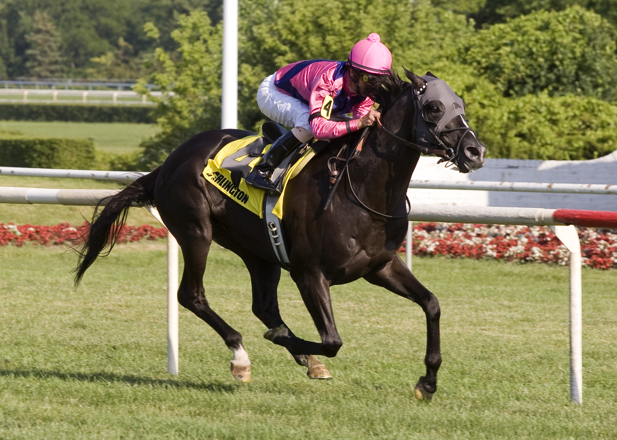 Willcox Inn/American Derby