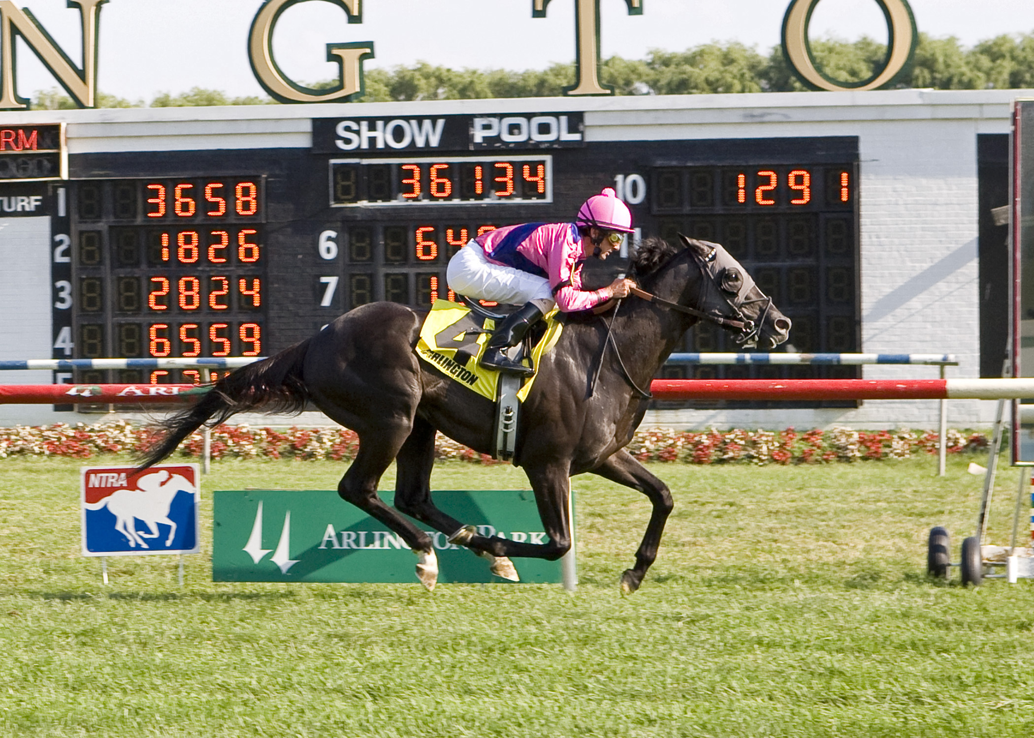 Willcox Inn/American Derby