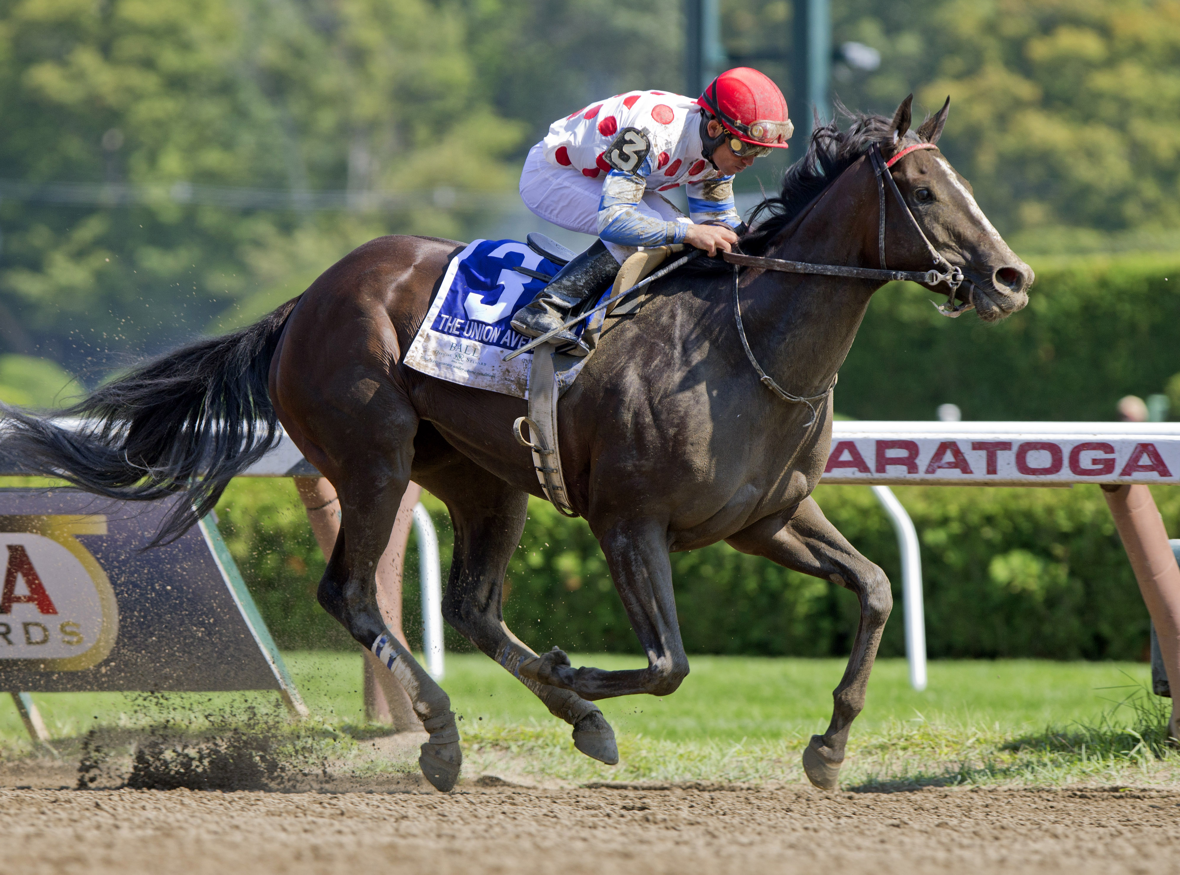Willet wins the Union Avenue Stakes