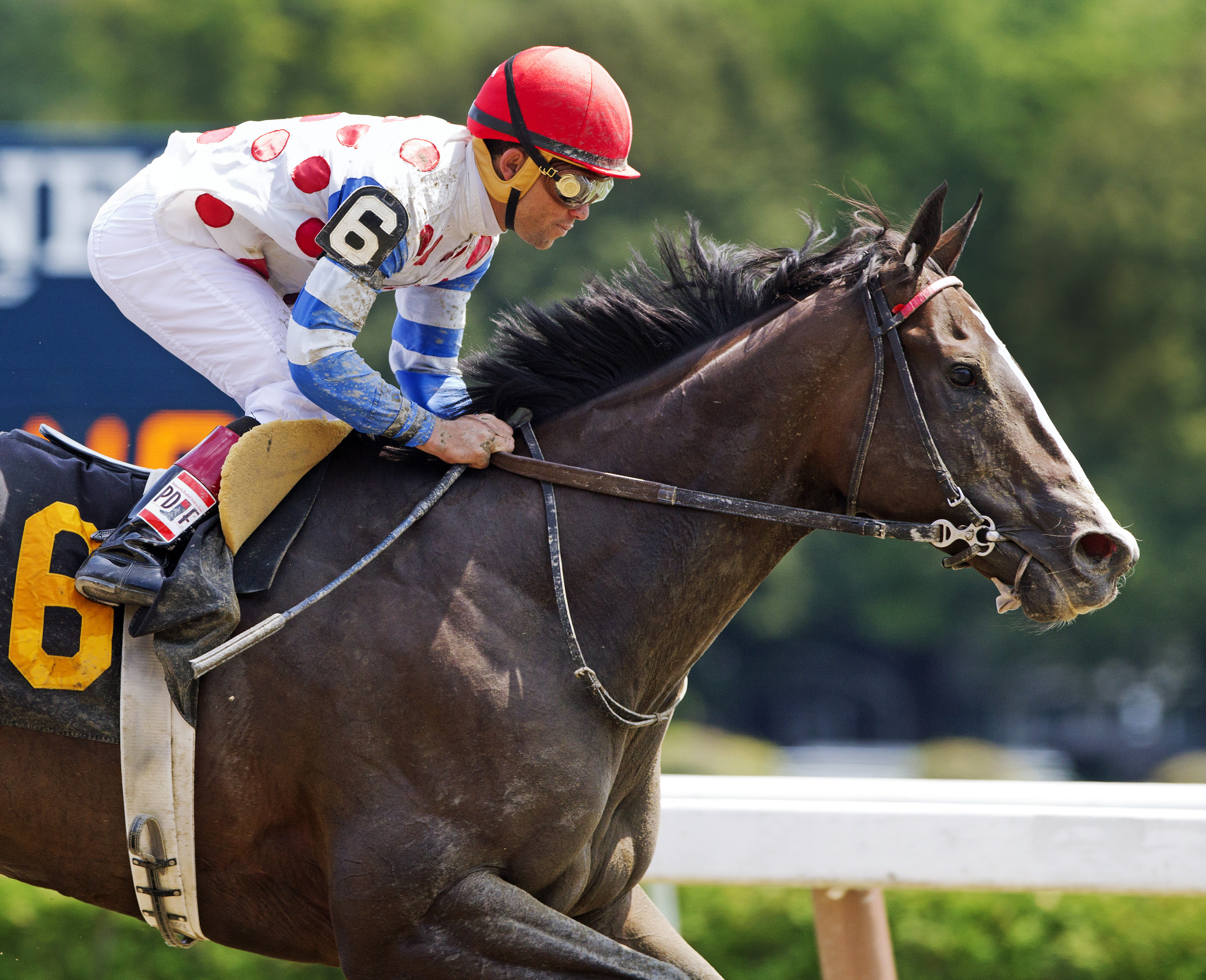 Willet wins an allowance race