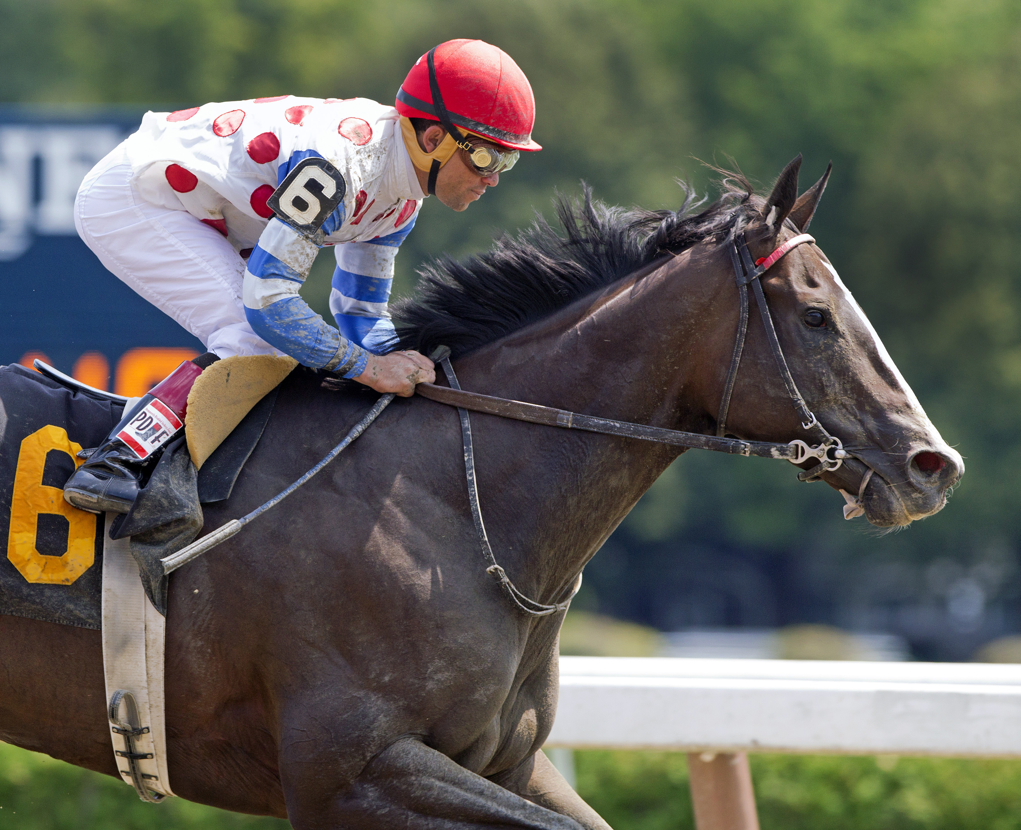 Willet wins an allowance race at Saratoga