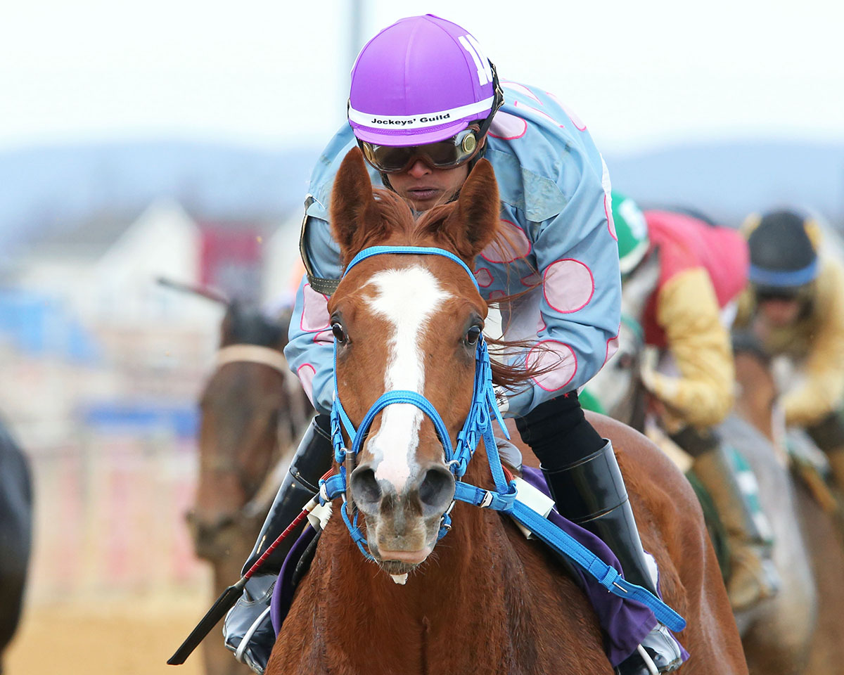 William and Mary wins the 2018 Coin Collector Stakes