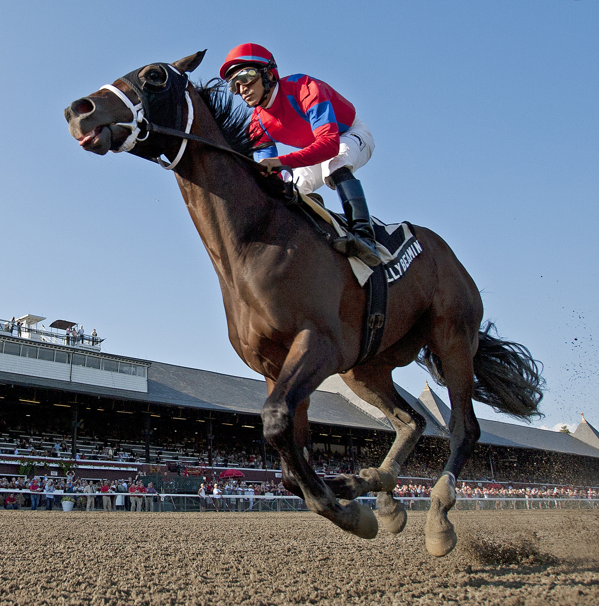 Willy Beamin/Albany Stakes