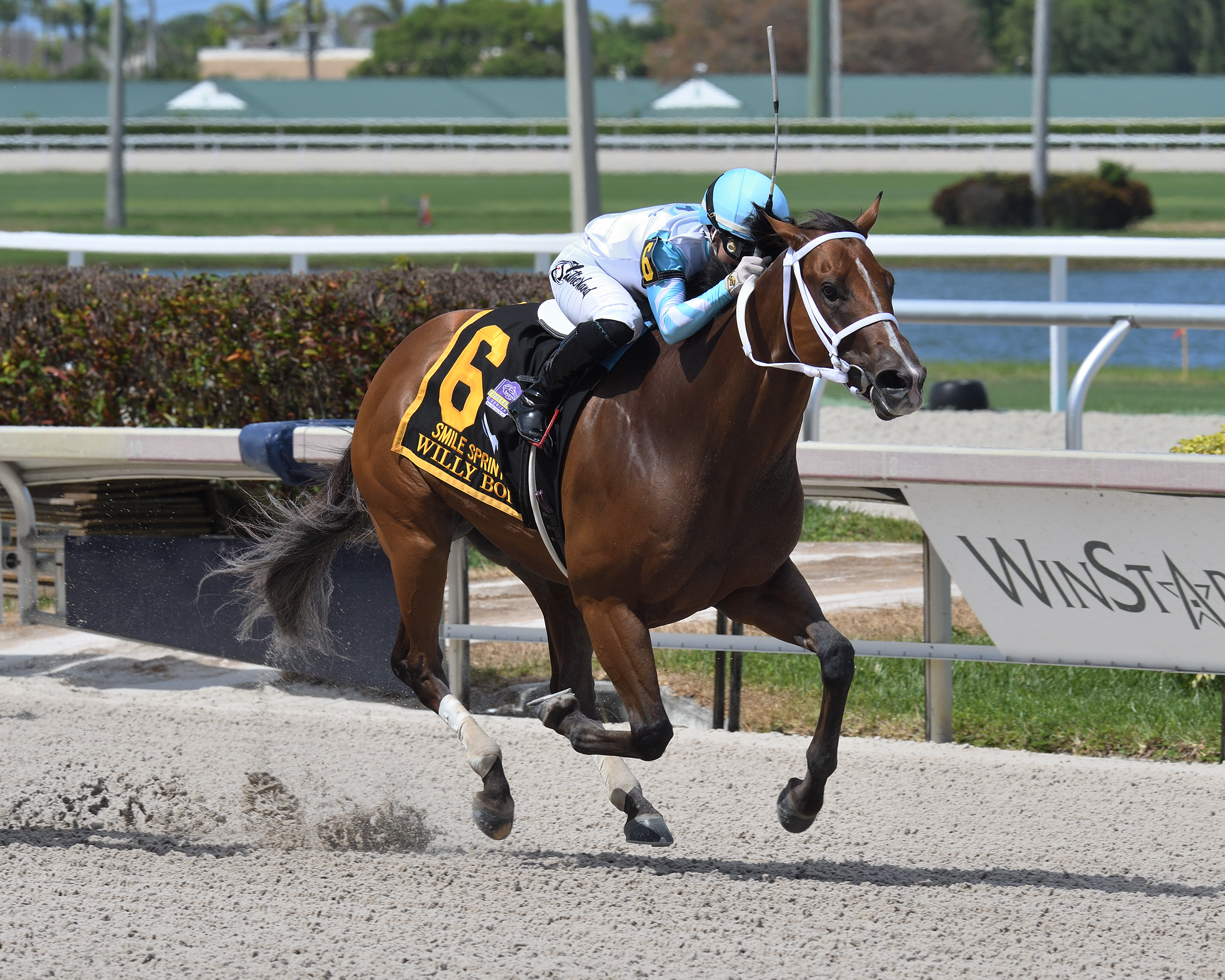 Willy Boi wins the Smile Sprint at Gulfstream on July 2 2022