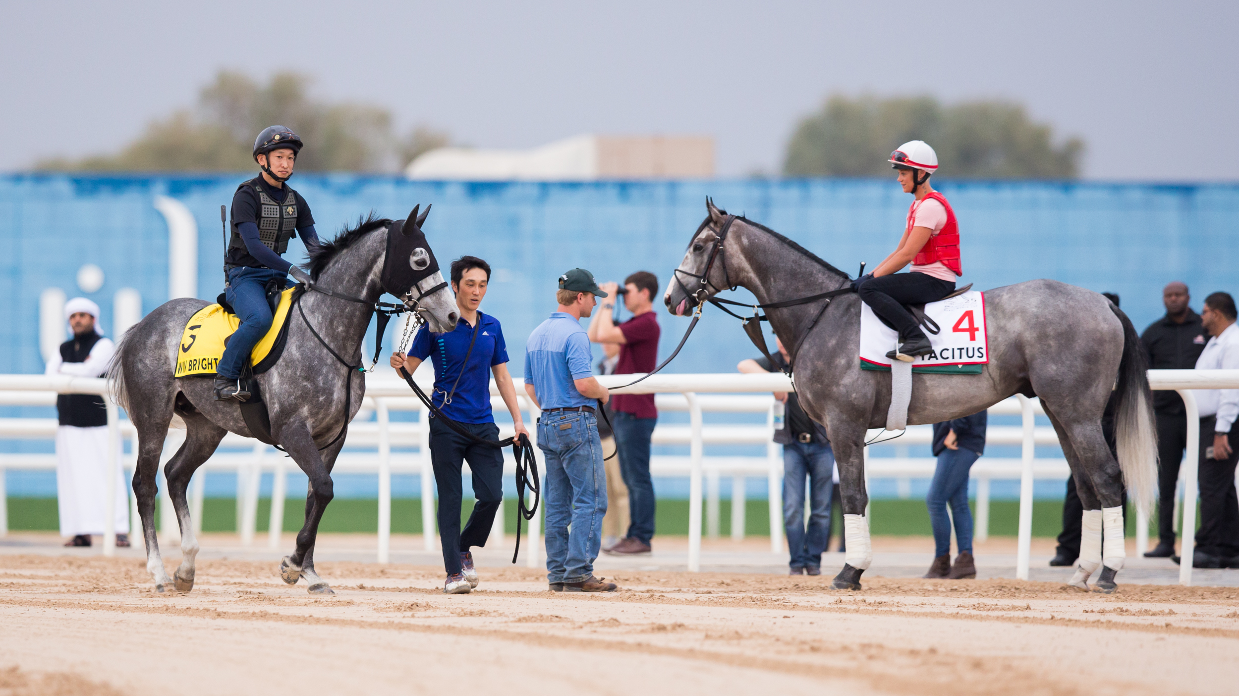 Win Bright (left) and Tacitus on track at Meydan 3.22.20