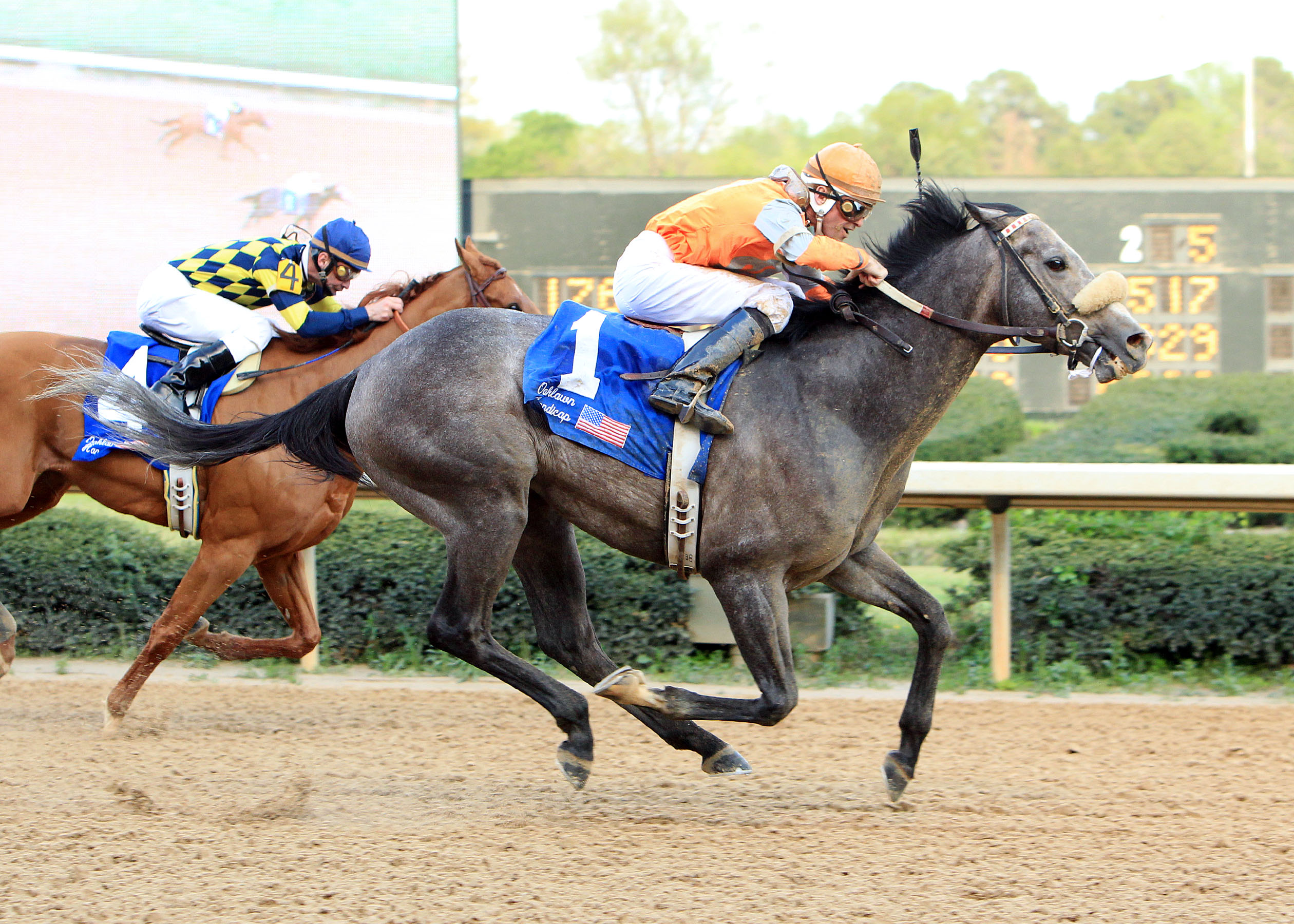 Win Willy 4-9-2011