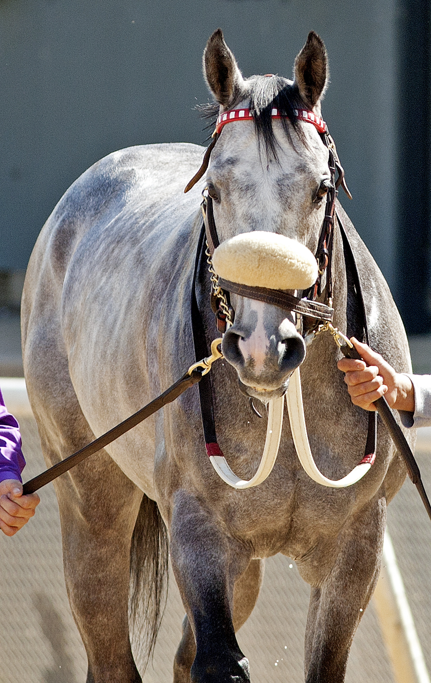 Dick Jerardi: Opening day at Delaware Park hard to beat for atmosphere