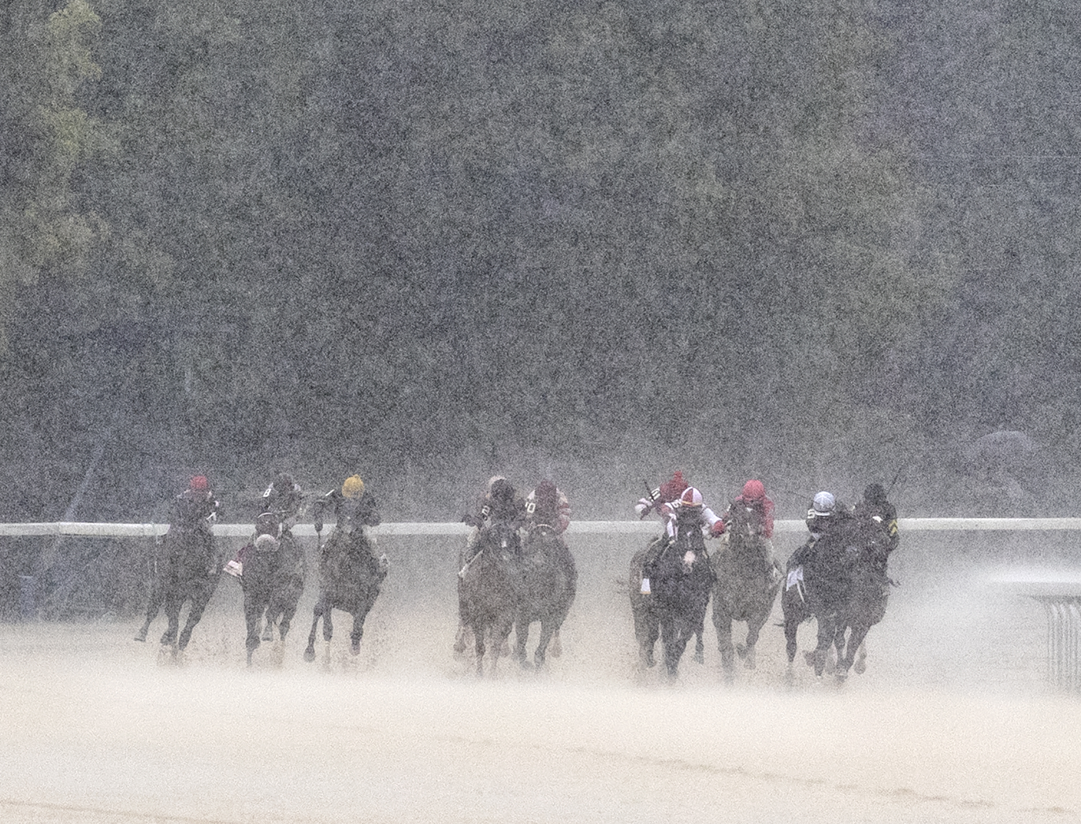 Win Win Win (far left) wins the 2020 Forego Stakes at Saratoga