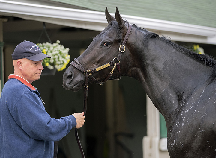 Win Win Win with trainer Mike Trombetta