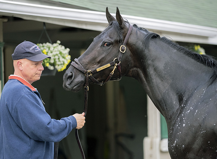 Win Win Win with trainer Mike Trombetta in April 2019