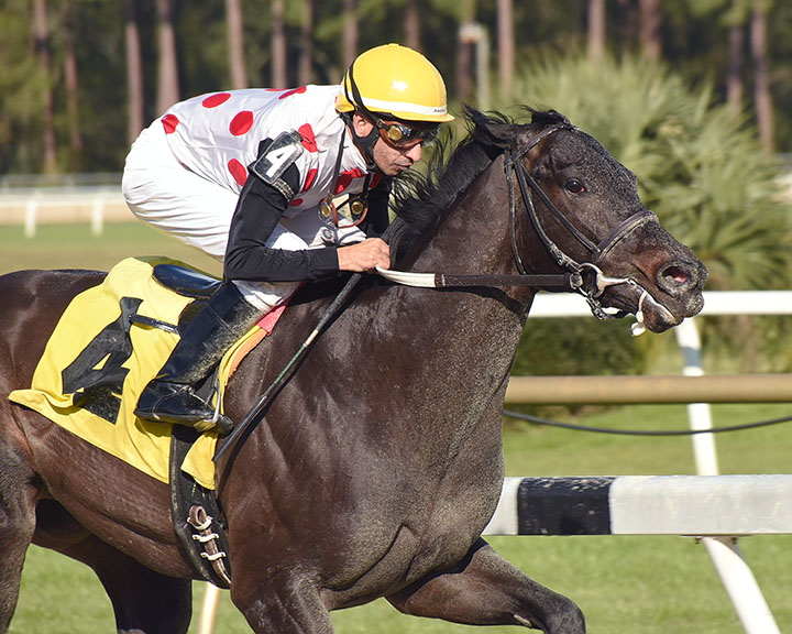 Win Win Win wins the Pasco Stakes