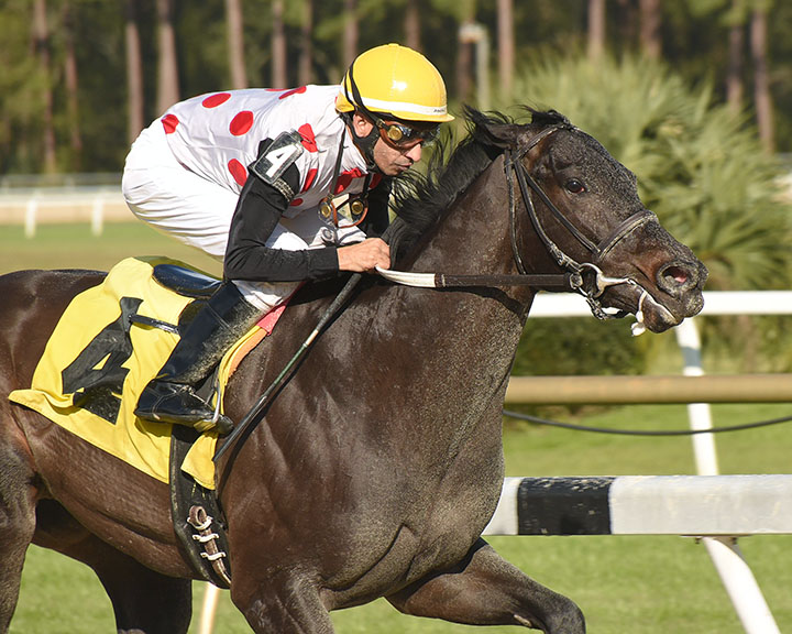 Win Win Win wins the 2019 Pasco Stakes