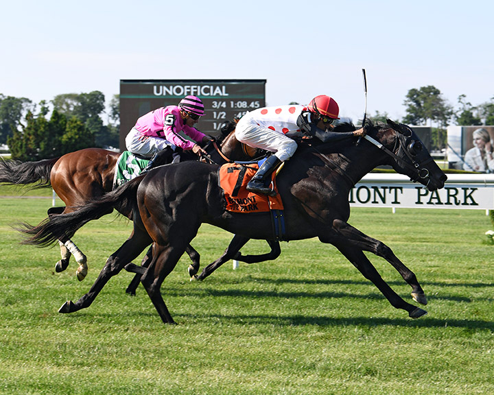 Win Win Win wins the 2019 Manila Stakes at Belmont Park