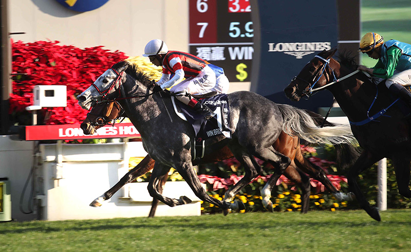 Win Bright (gray) wins the 2019 Hong Kong Cup