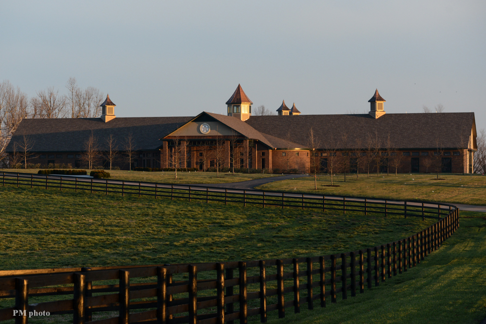 WinStar stallion facility