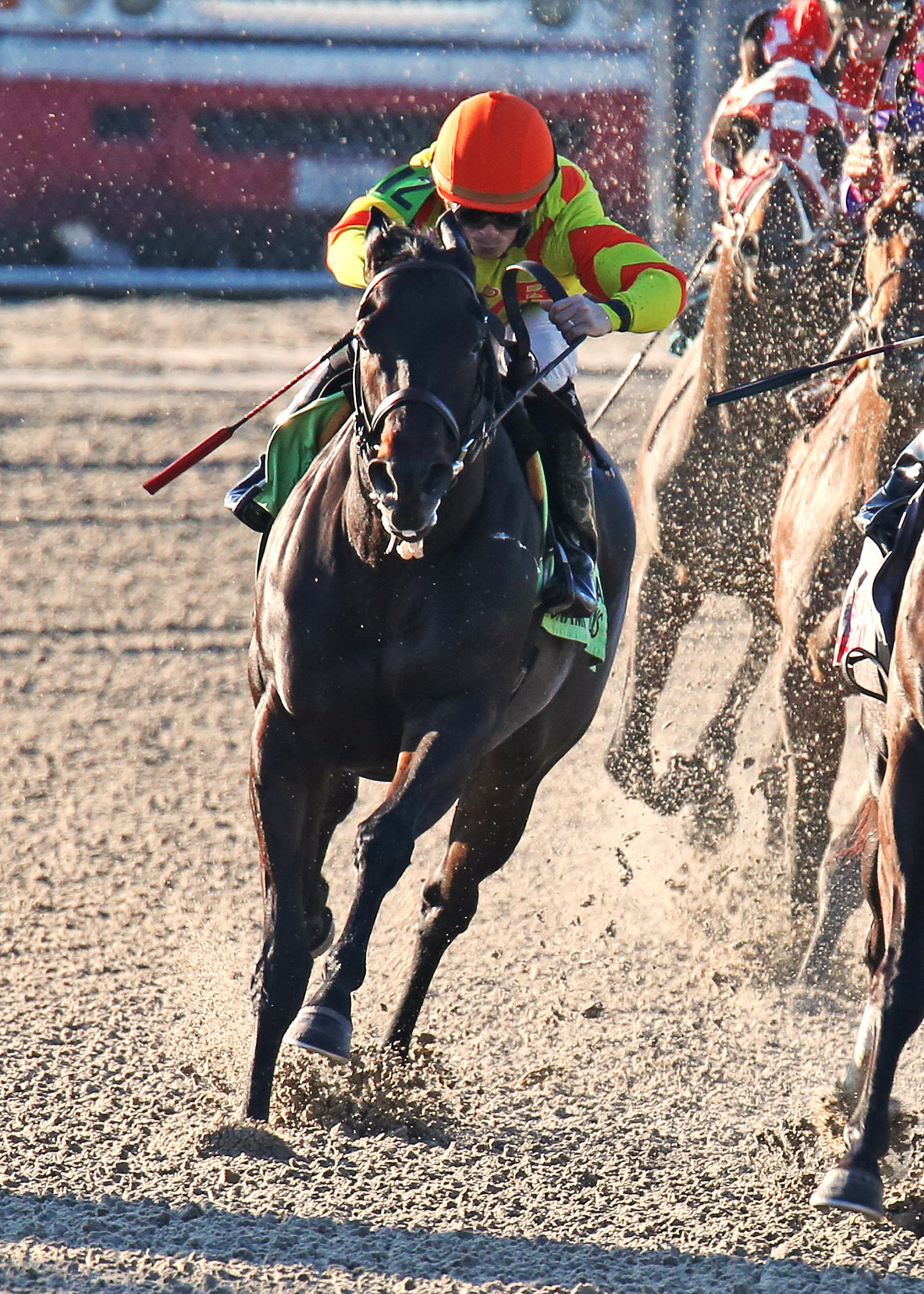 Wind Chill Factor wins the Louisiana Champions Day Lassie