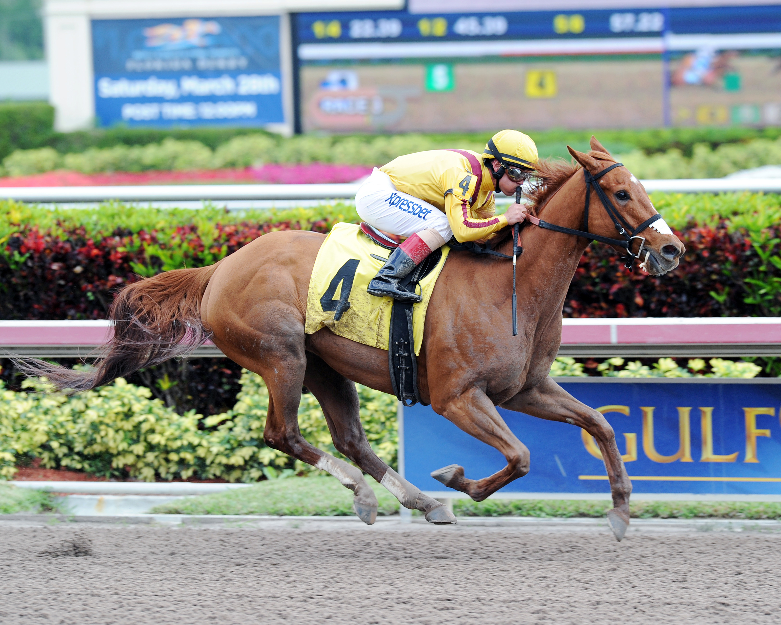 Wind Racer wins a maiden race