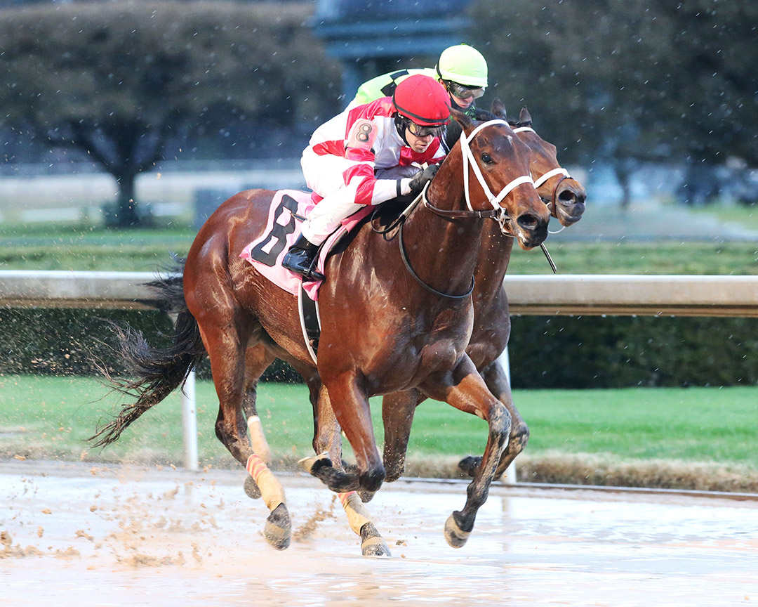 Windmill wins the 2021 Dixie Belle Stakes at Oaklawn