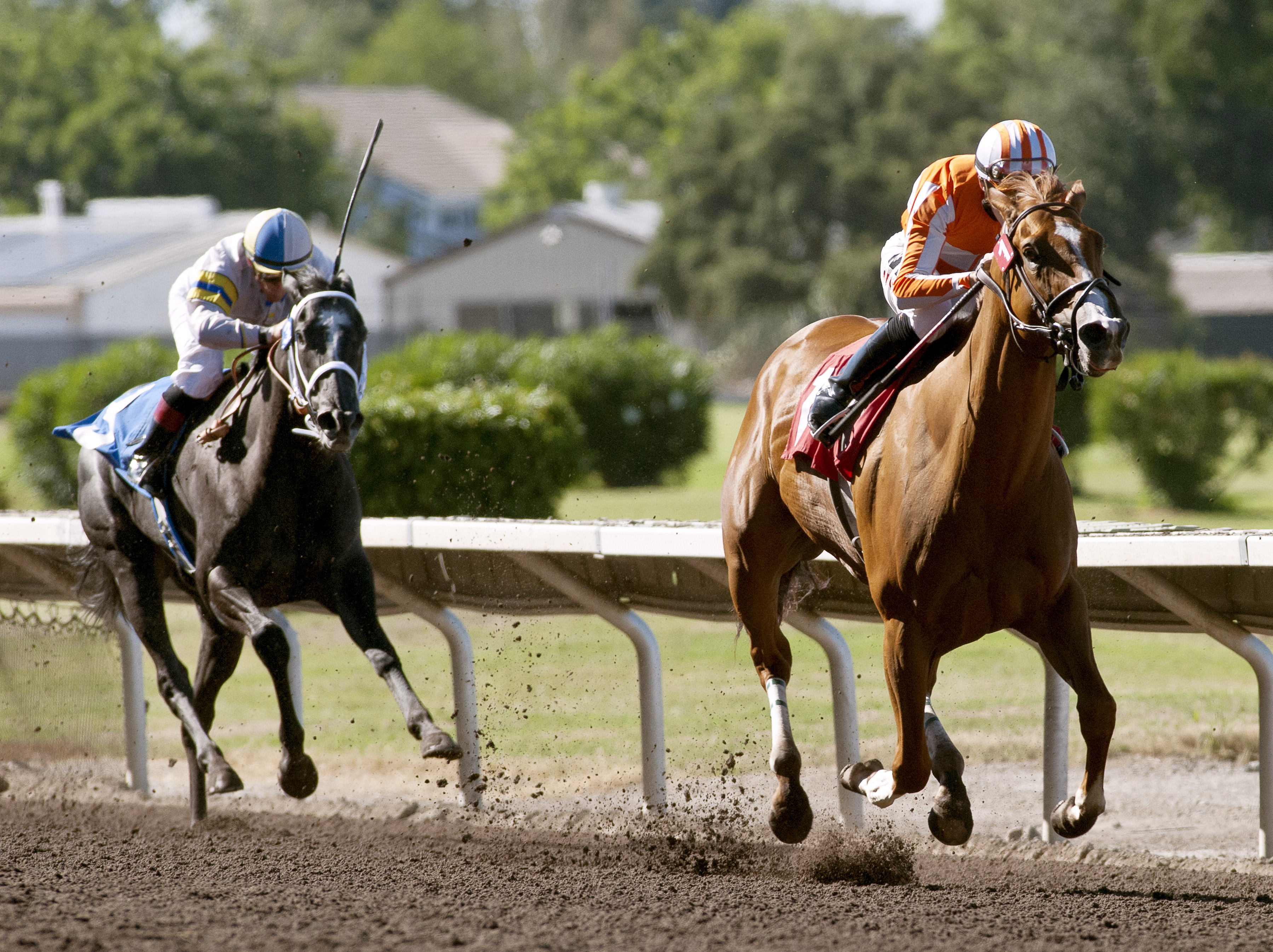 Windy Forecast wins the Pleasanton Oaks