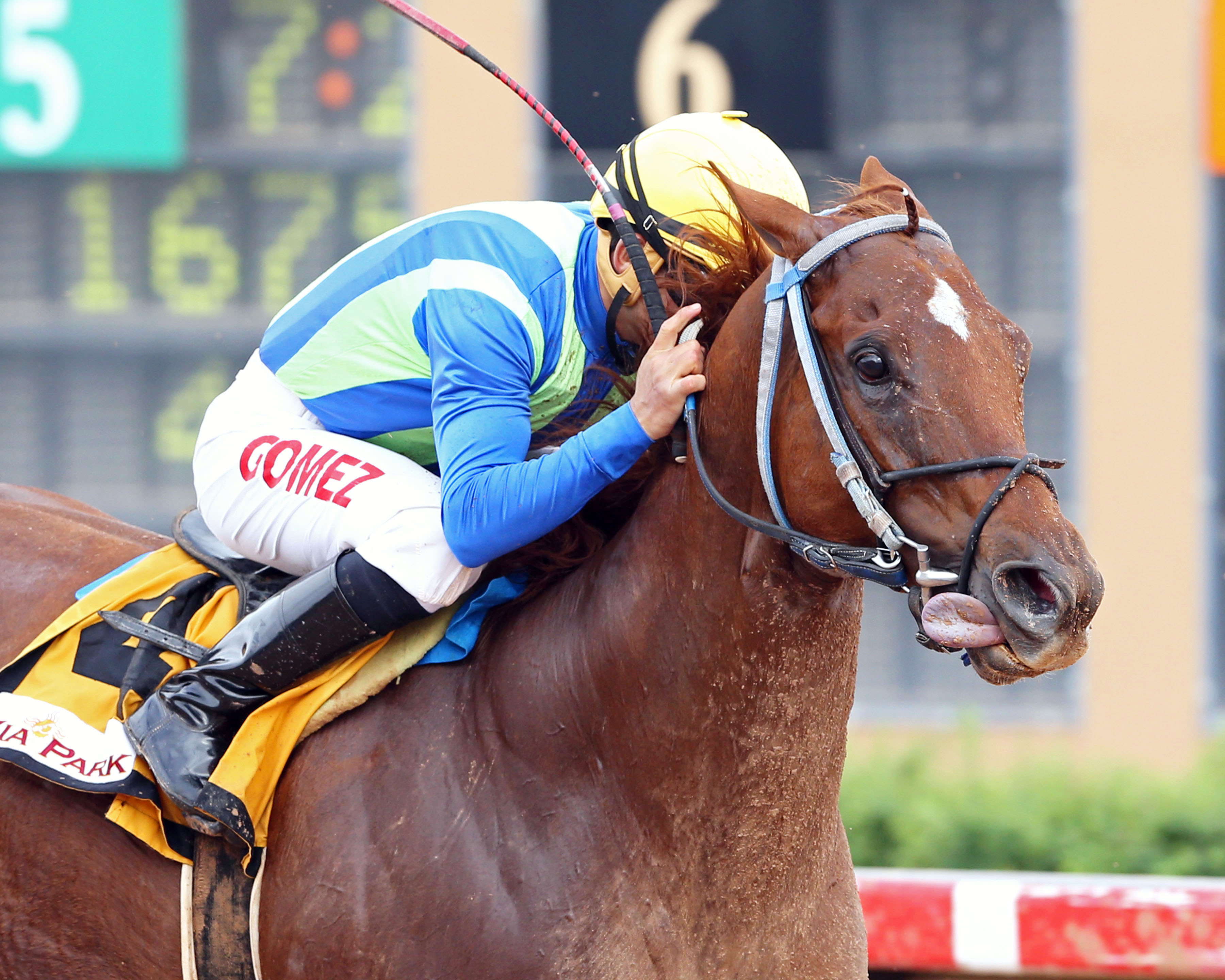 Wine Police wins the Premiere Cup Handicap