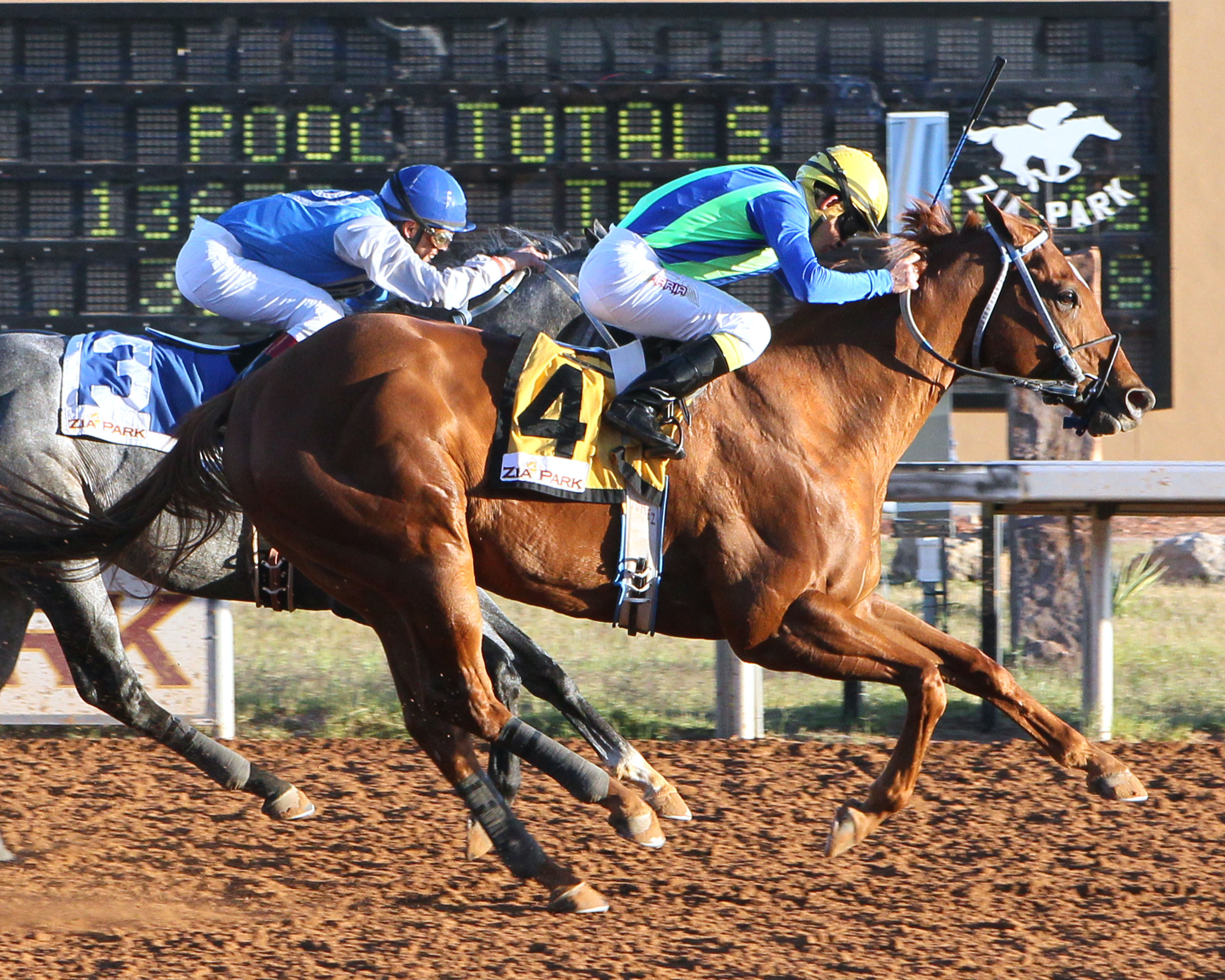 Wine Police wins the Lea County Sprint