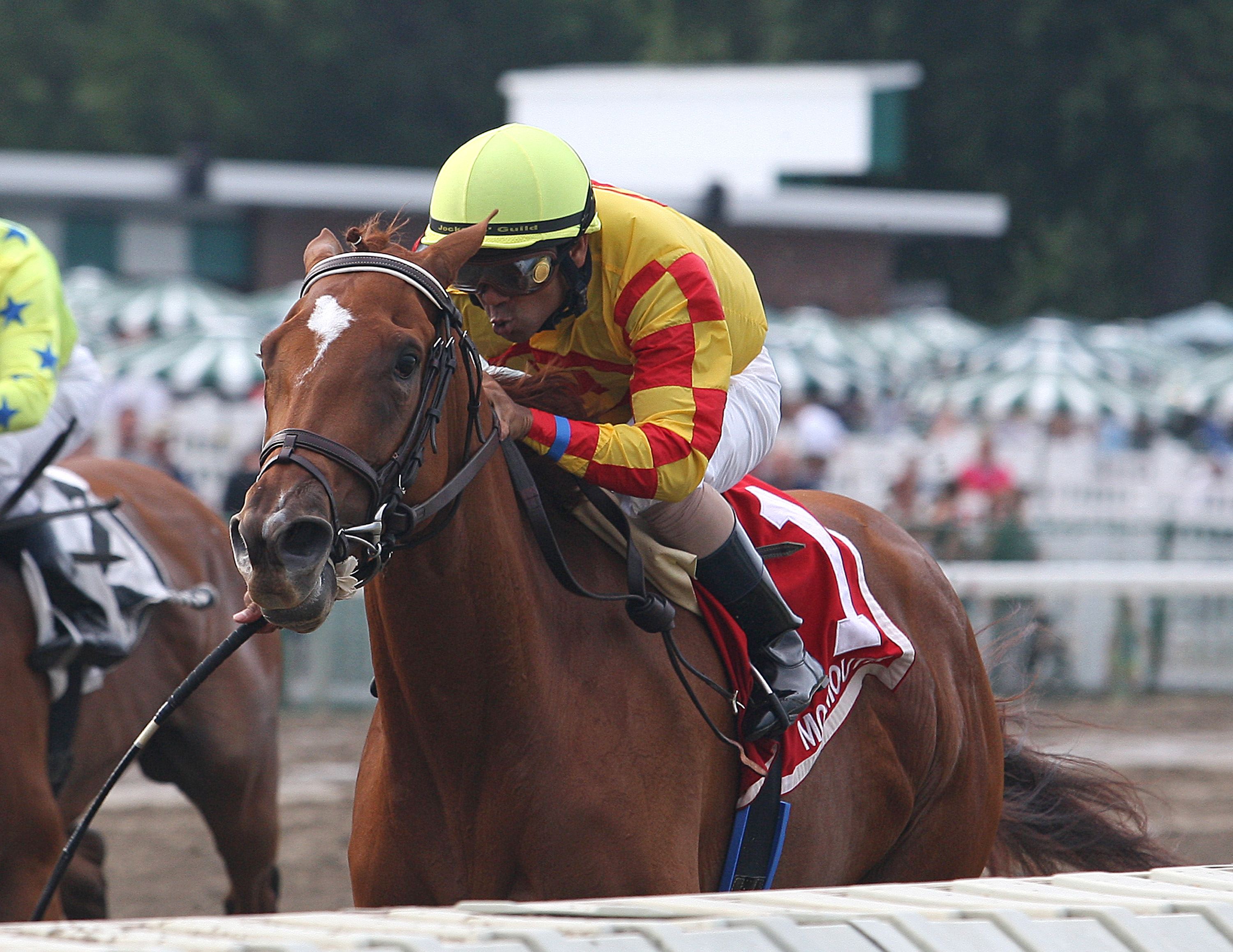 Wine Princess wins the 2012 Monmouth Oaks