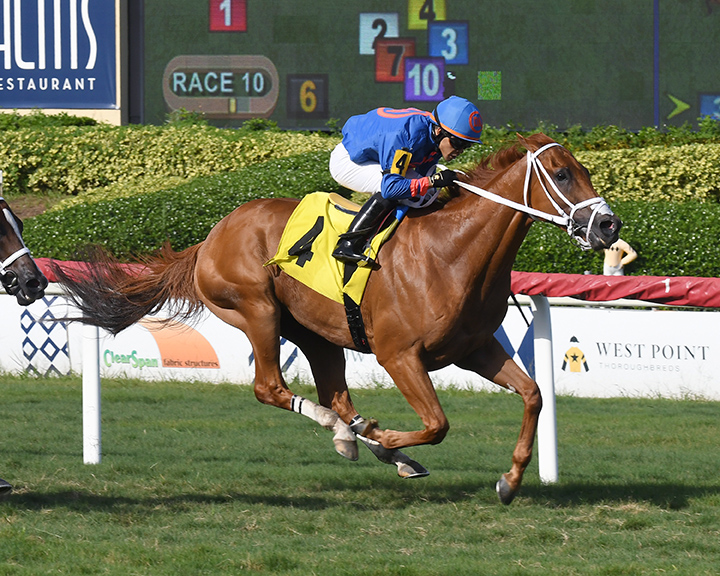 Wingman wins a June 23 allowance race at Gulfstream