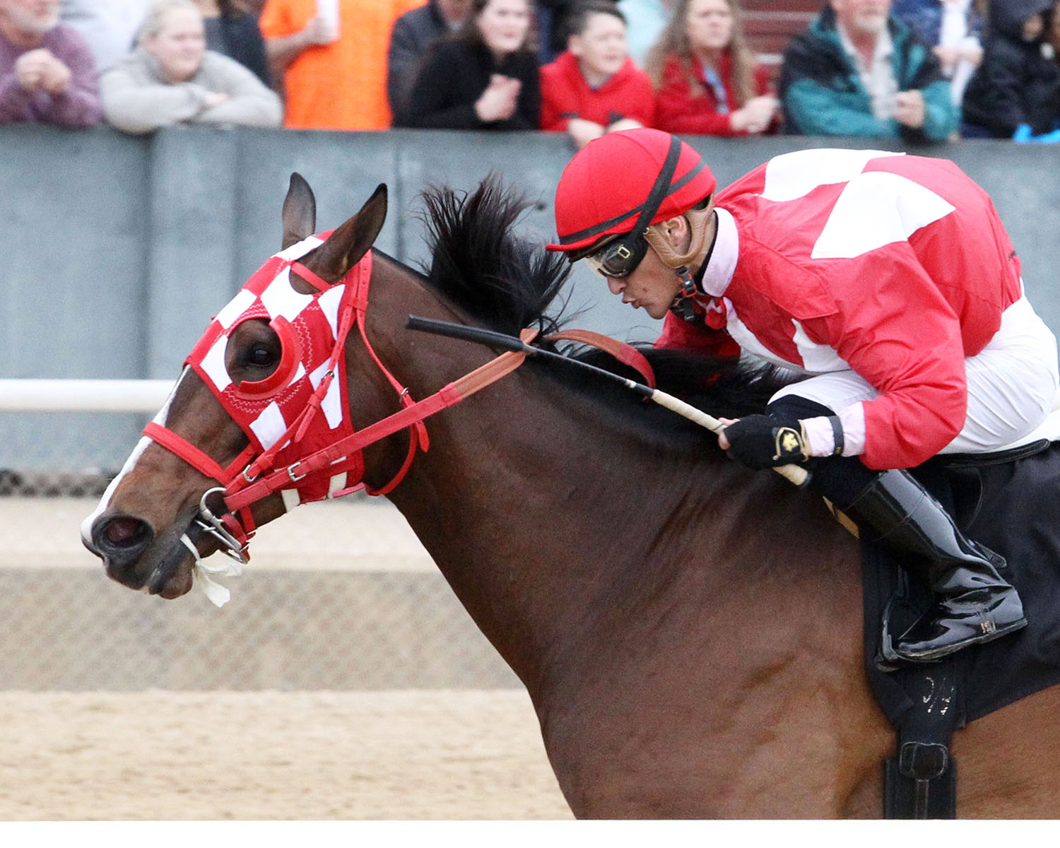 Wings Locked Up wins a March 25 allowance