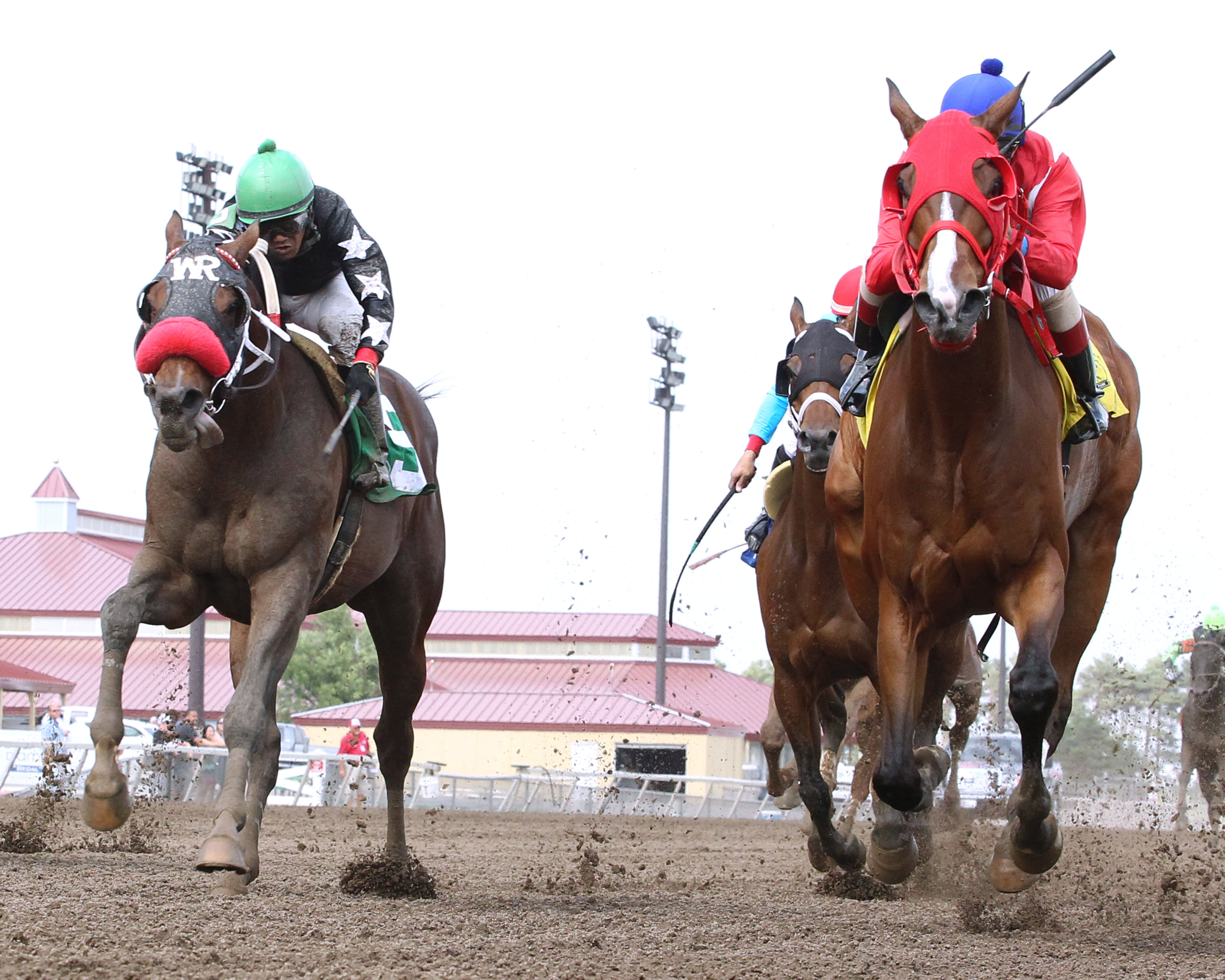Wings Locked Up wins the Dark Star Cup
