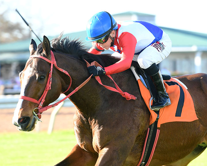 Wings Locked Up wins the 2019 Frontier Utilities Turf Sprint at Sam Houston Race Park
