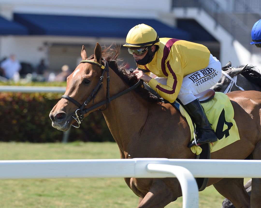 Wink wins the 2021 Melody of Colors Stakes at Gulfstream Park