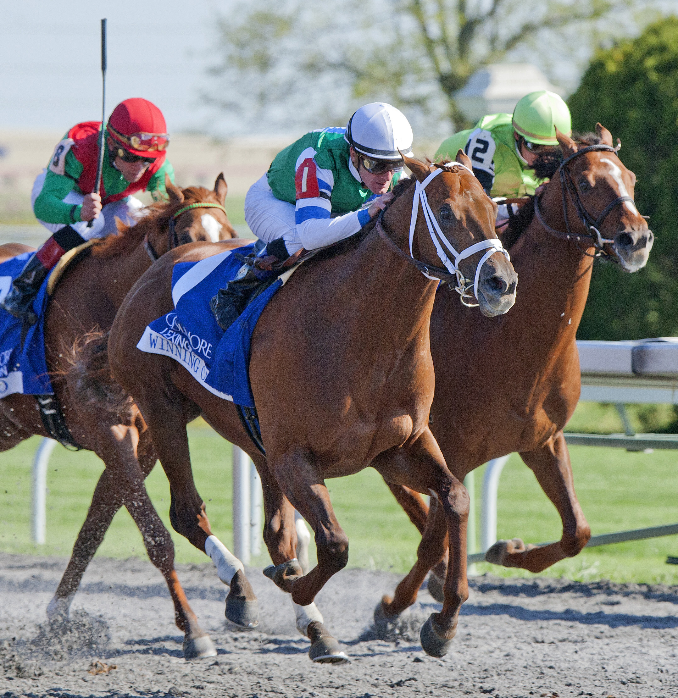 Winning Cause, Lexington Stakes