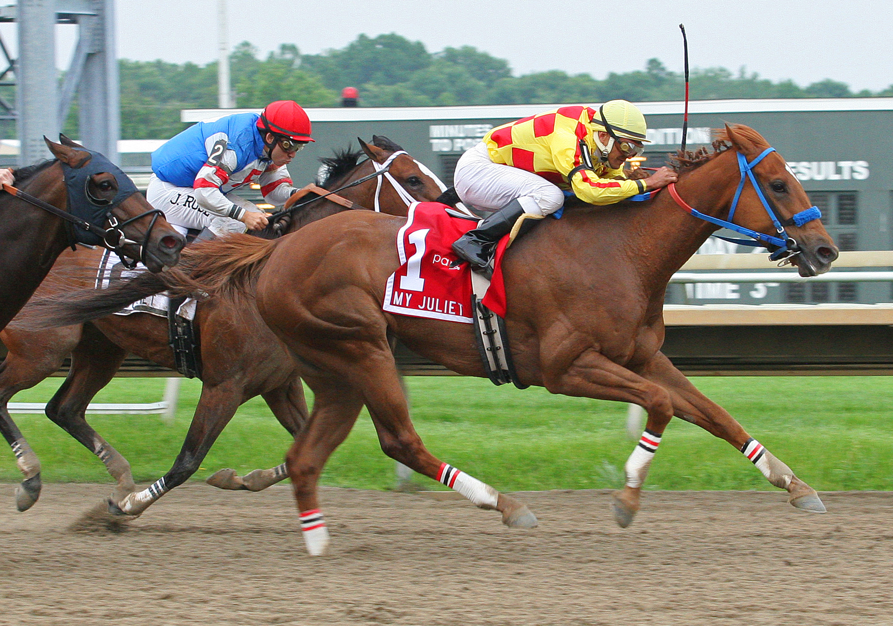 Winning Image, My Juliet Stakes