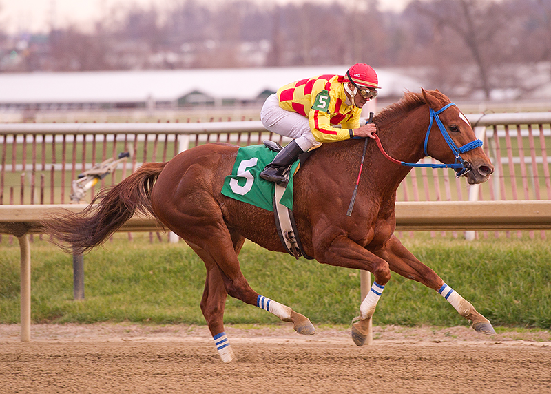 Winning Image 12-15-2012
