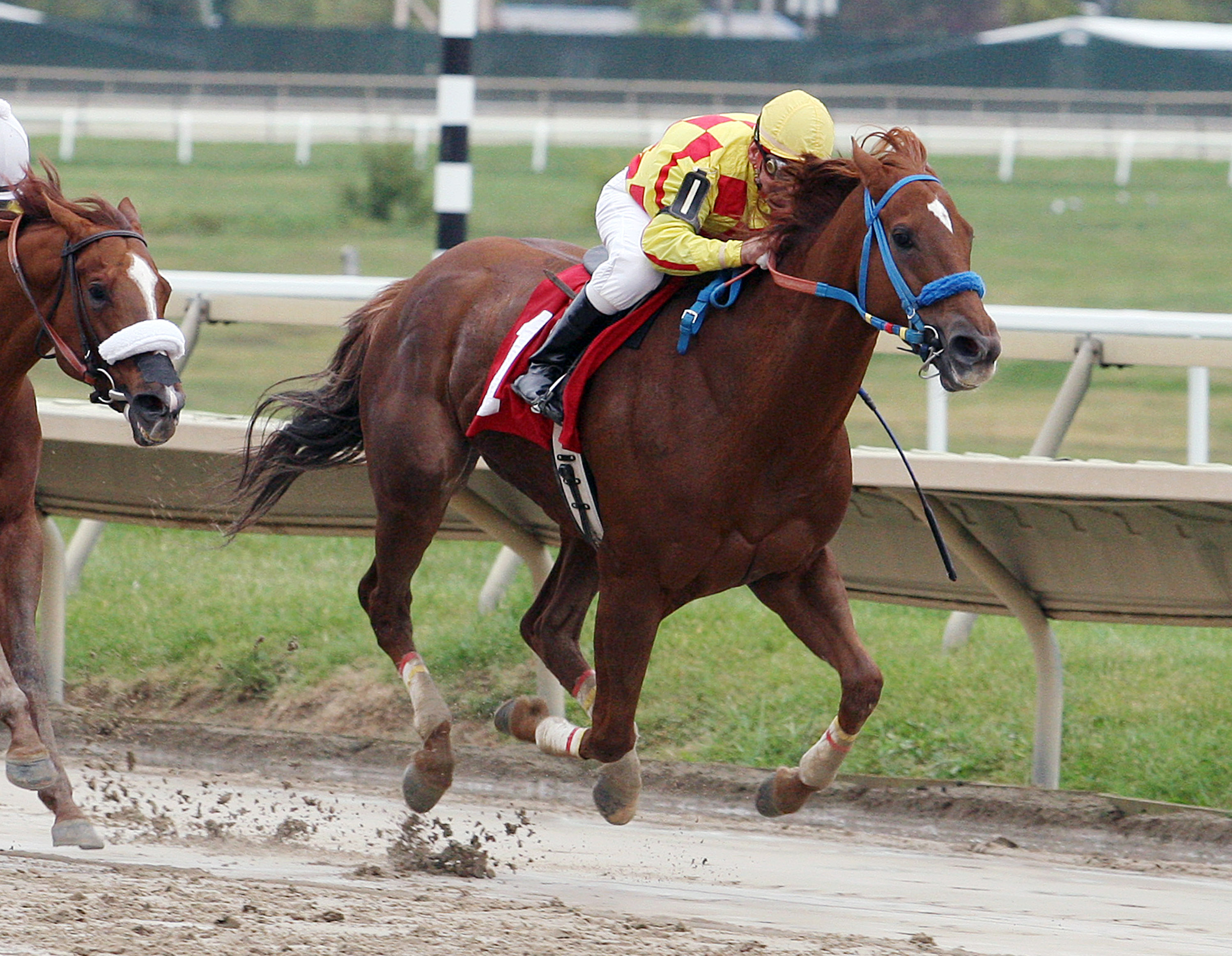Winning Image wins the Cornucopia Stakes
