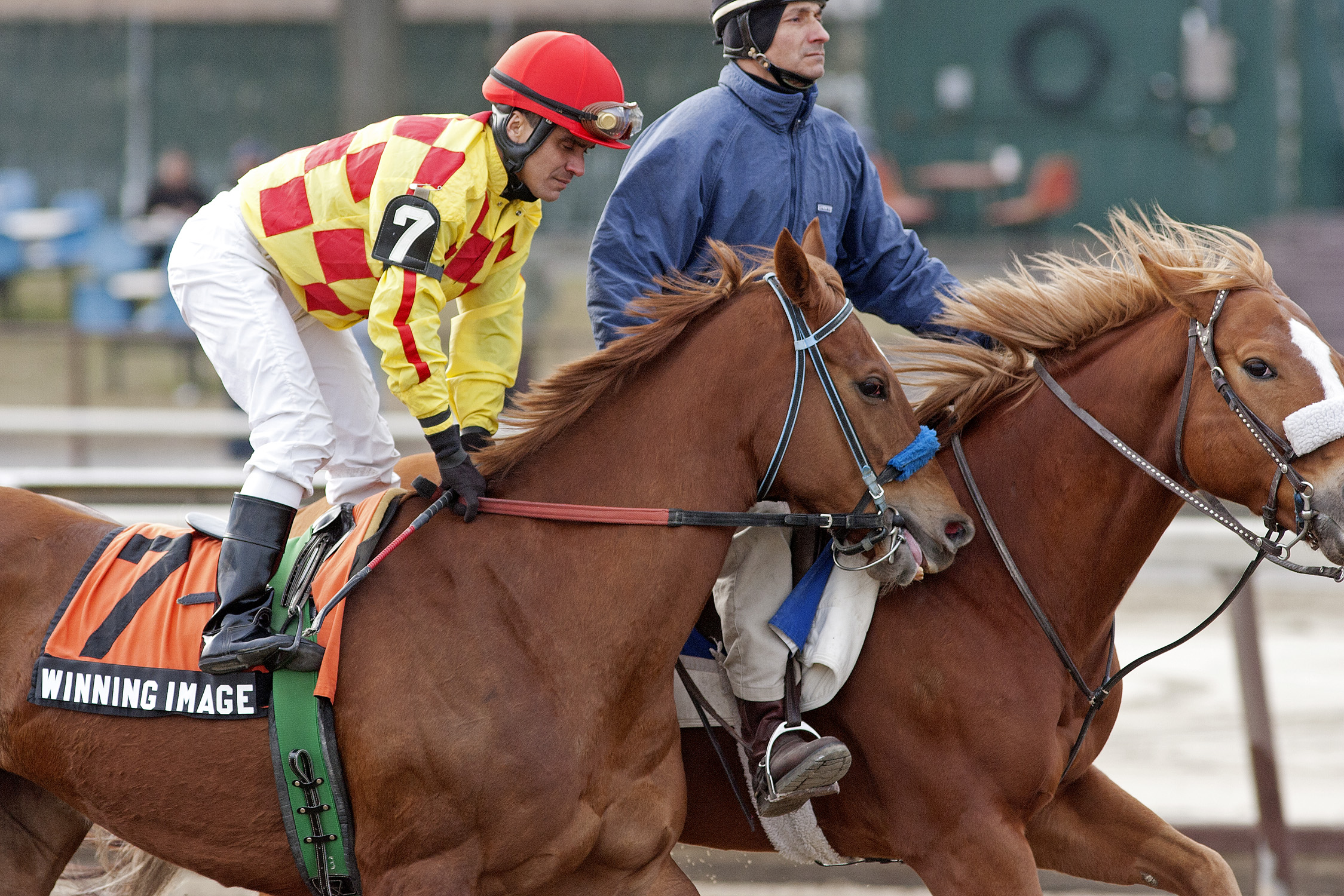 Winning Image