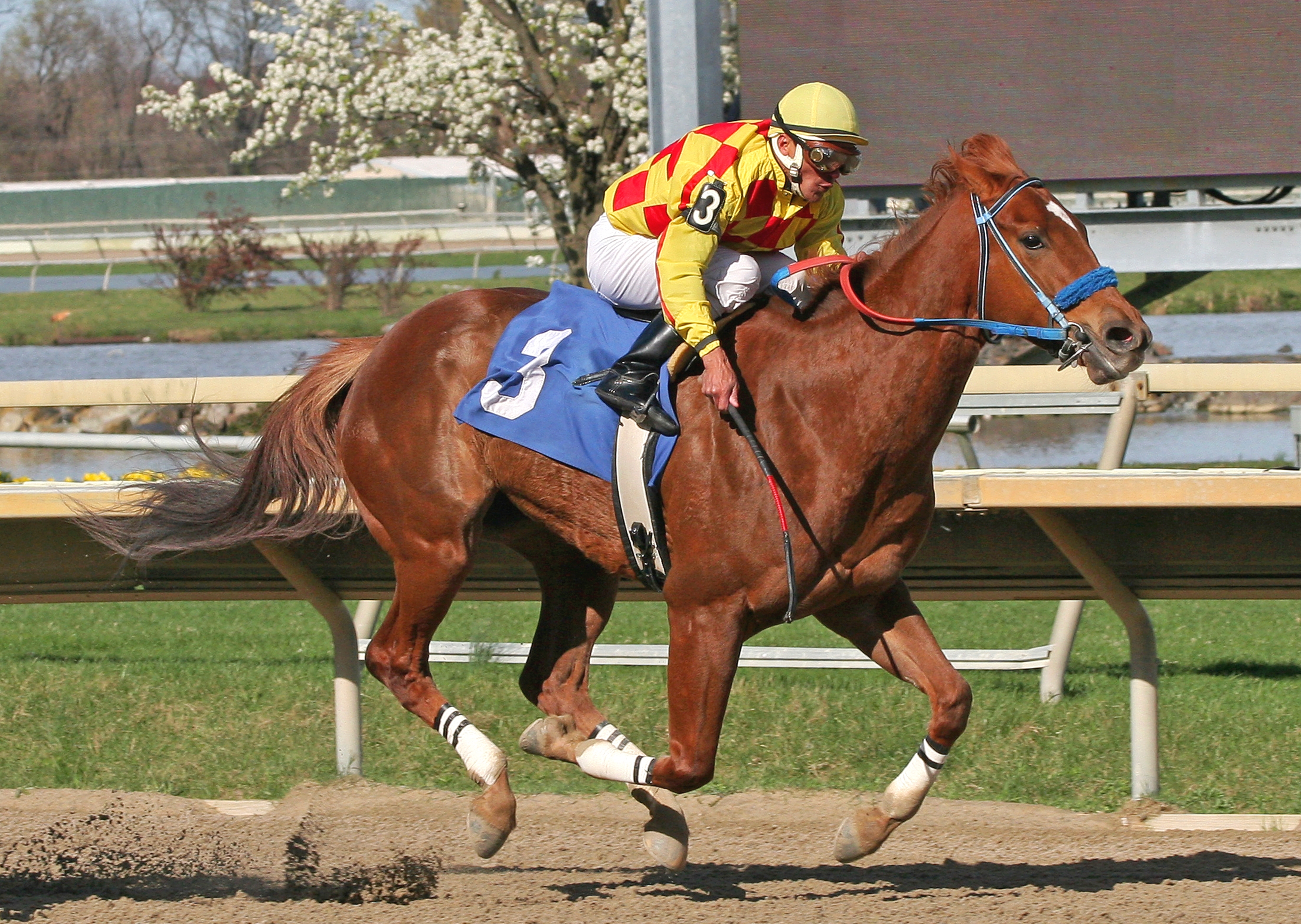 Winning Image, March 27, 2012