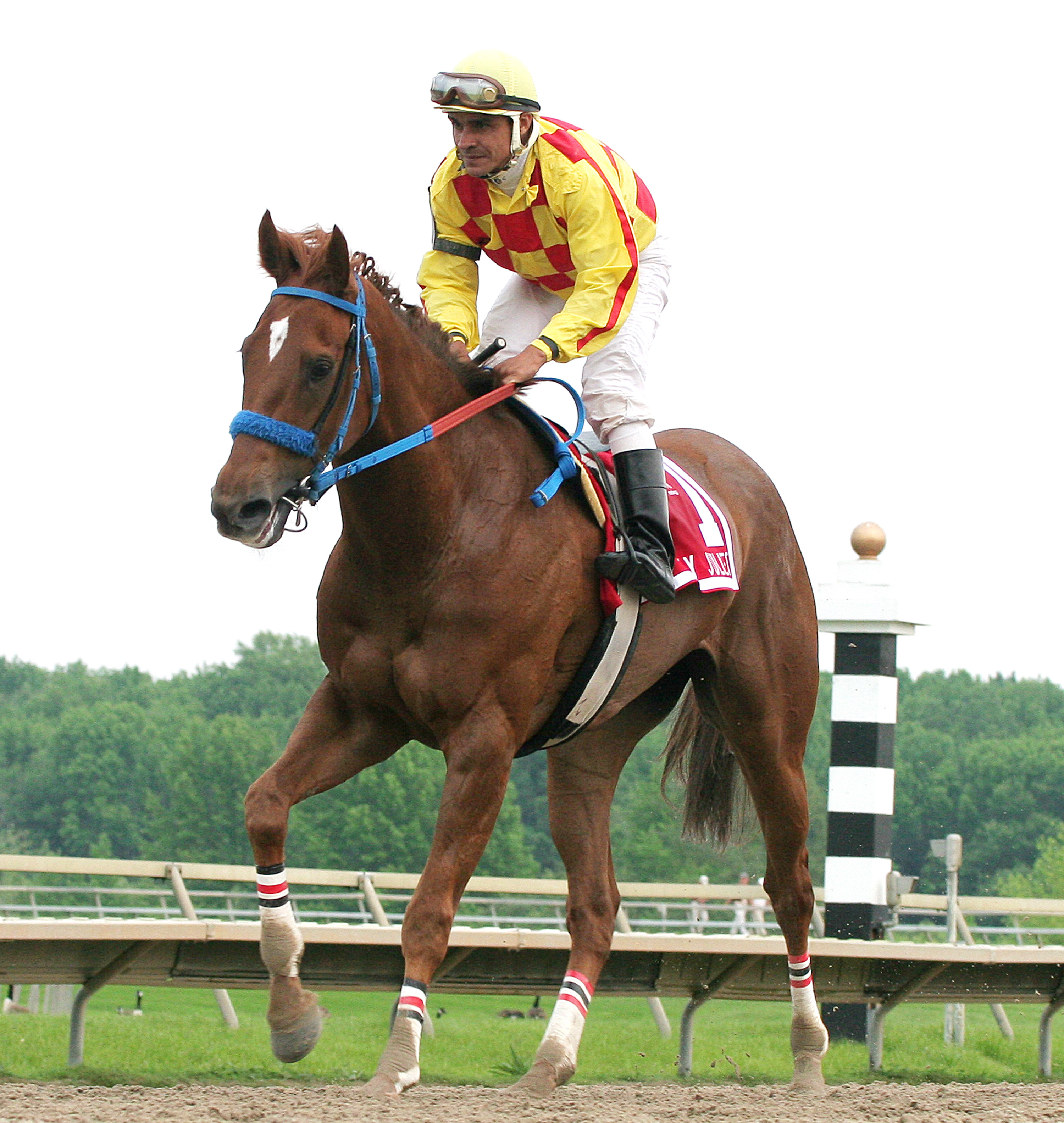 Winning Image 5-26-12