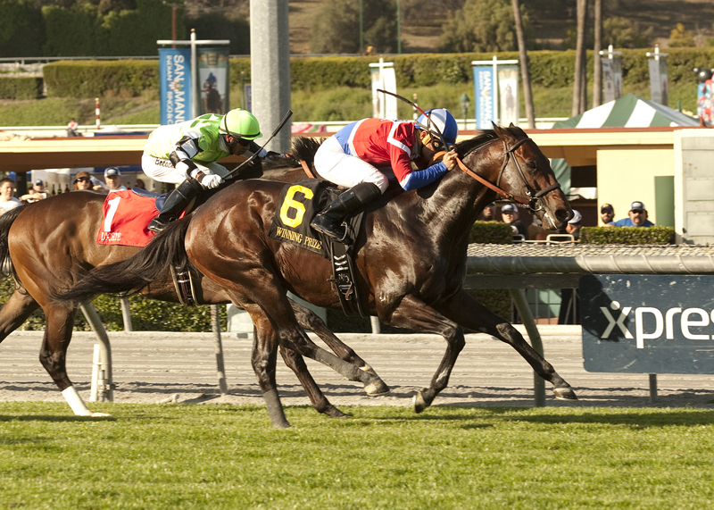 Winning Prize 3-8-2014