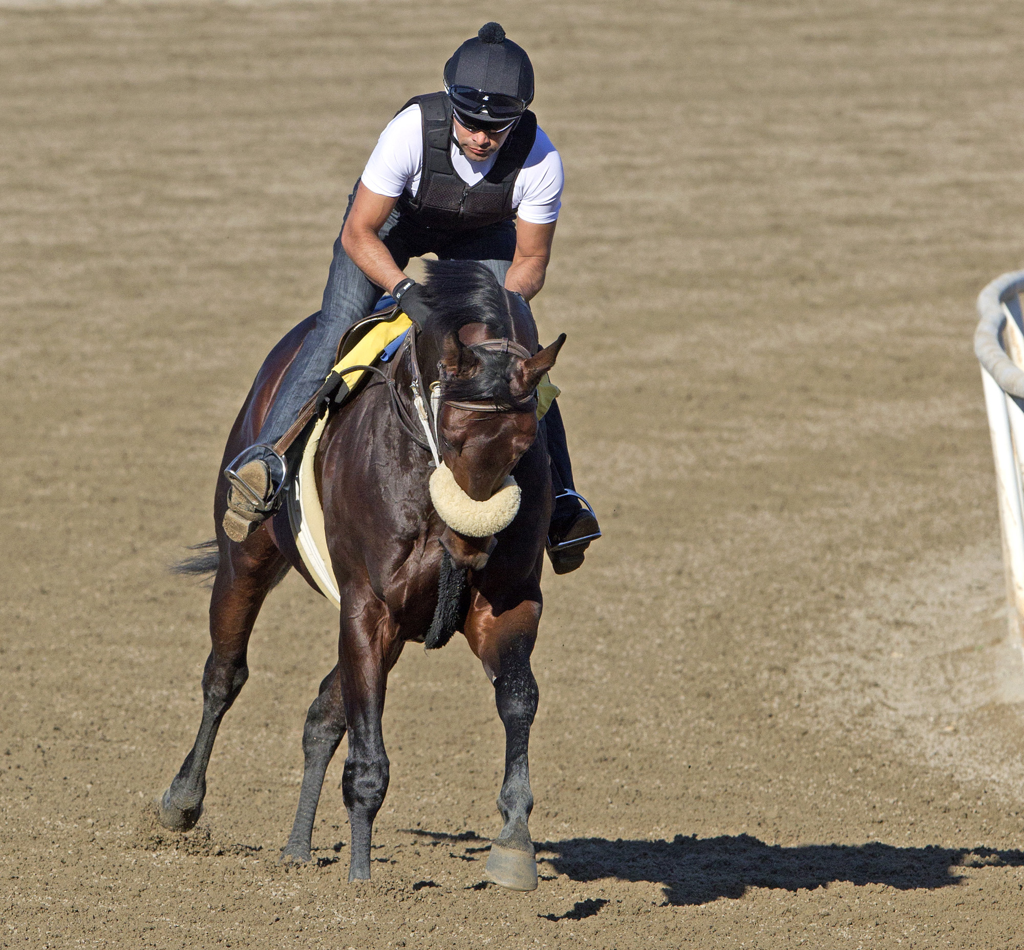 Winning Prize training