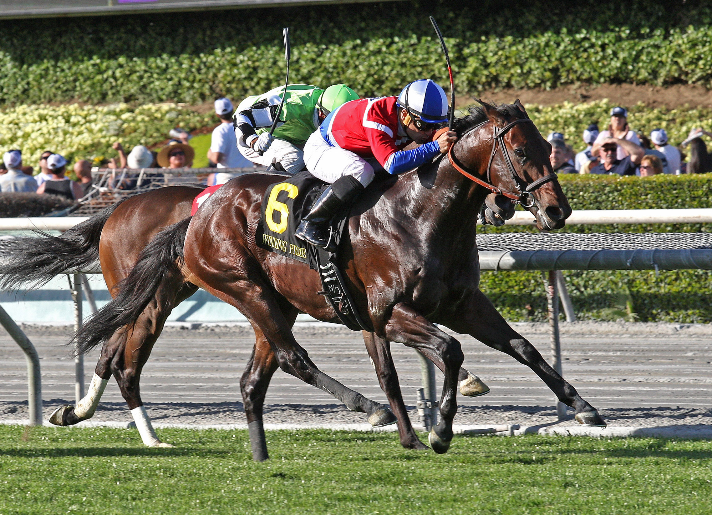 Winning Prize wins the Kilroe Mile
